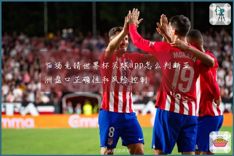 临场竞猜世界杯买球app怎么判断亚洲盘口正确性和风险控制