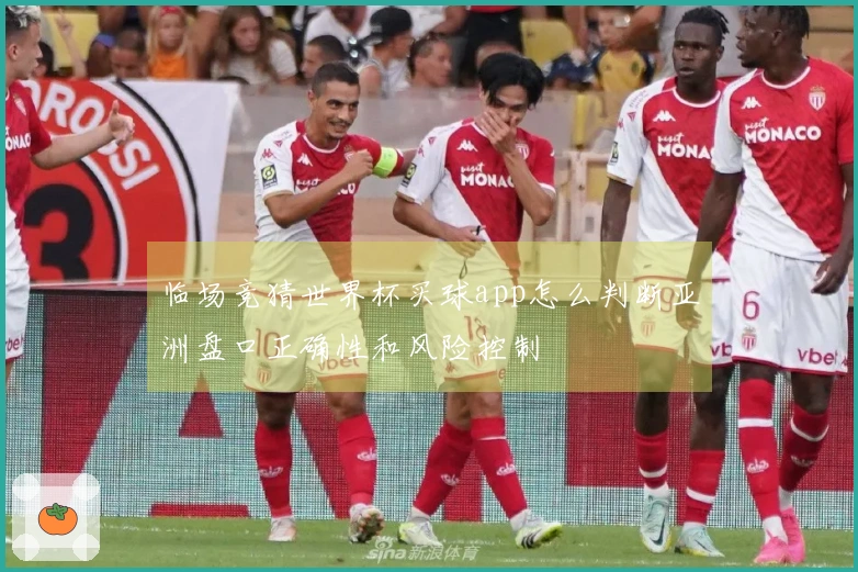 临场竞猜世界杯买球app怎么判断亚洲盘口正确性和风险控制